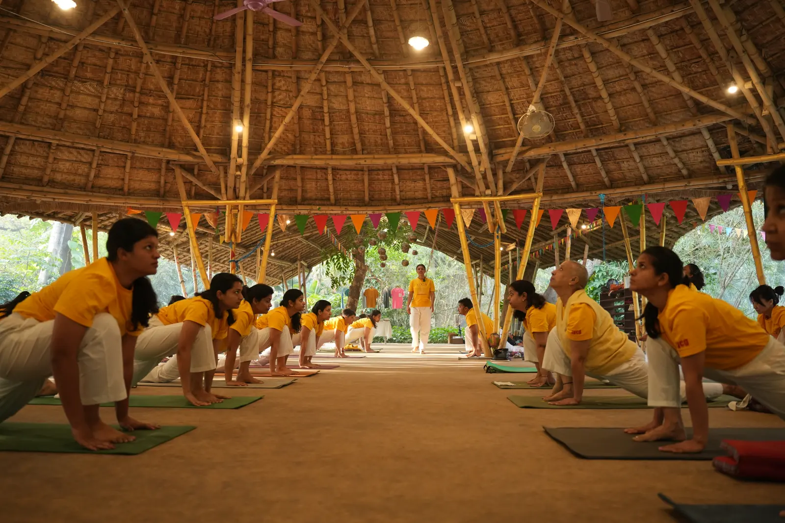 Sivananda students meditating in morning light