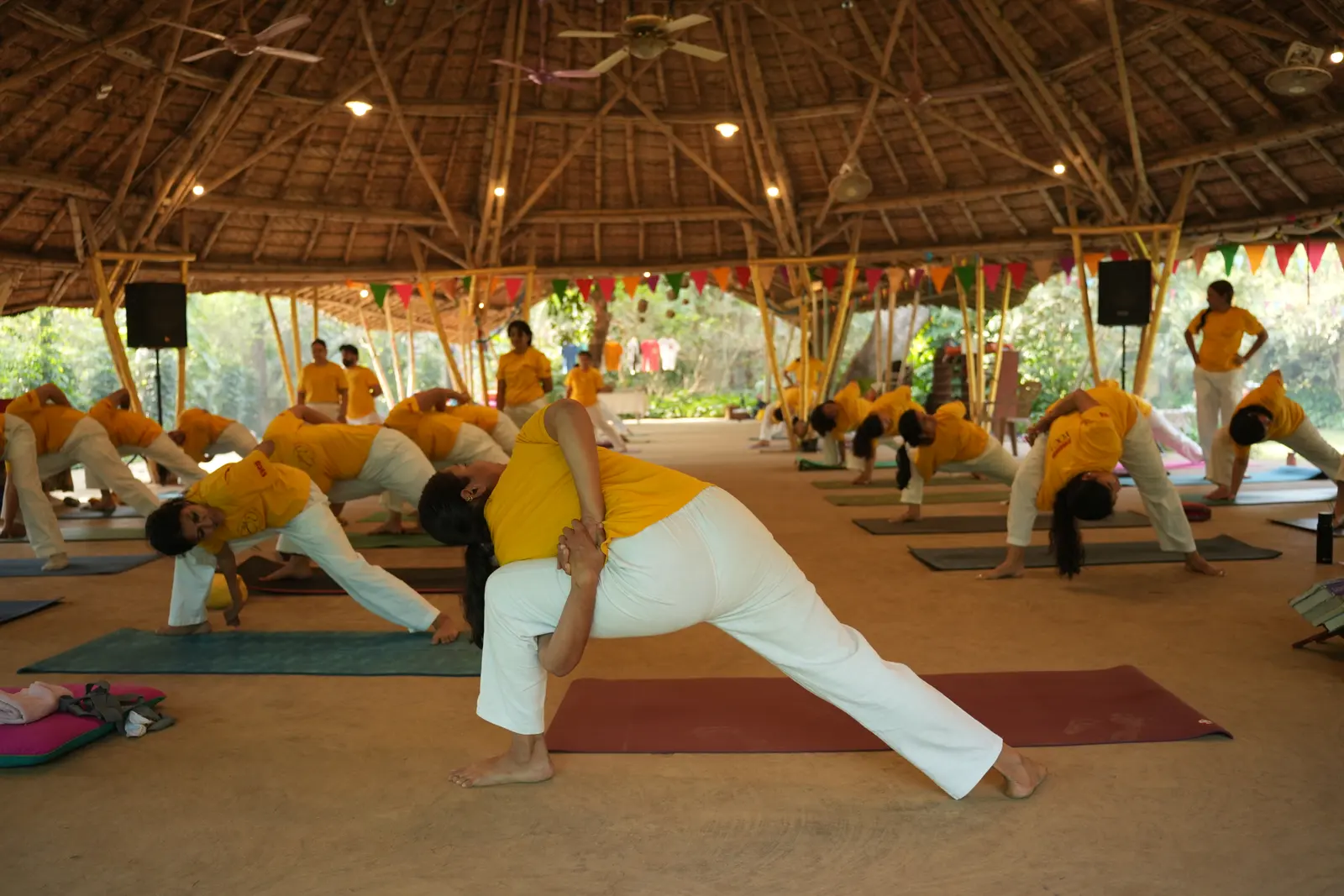 Yoga Asanas